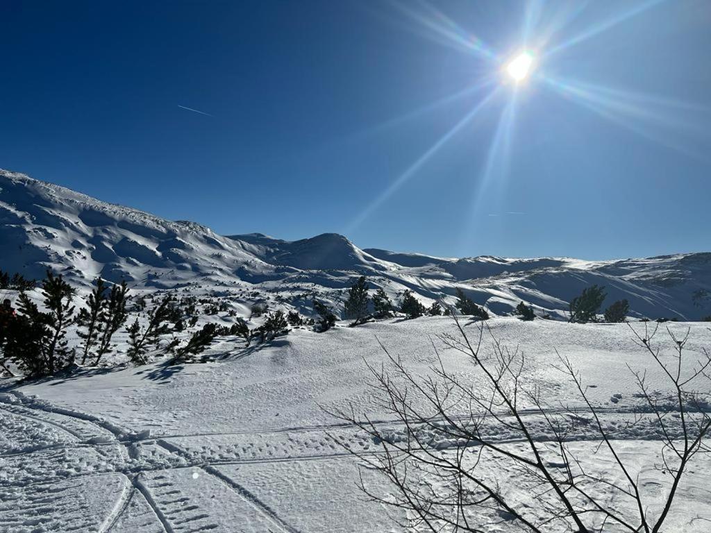 Holiday Home Vila Bjelašnica Eksteriør bilde