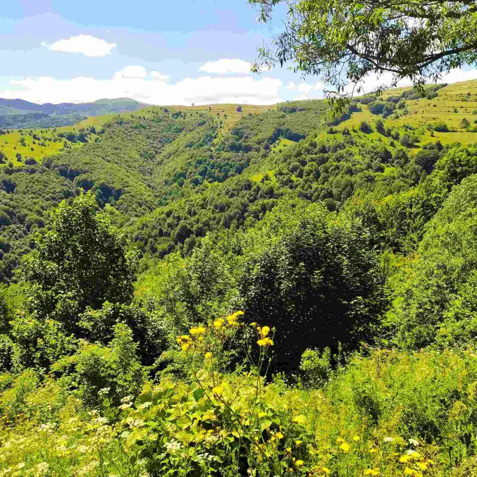 Holiday Home Vila Bjelašnica Eksteriør bilde
